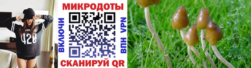 Псилоцибиновые грибы ЛСД  Купить  Михайловск 