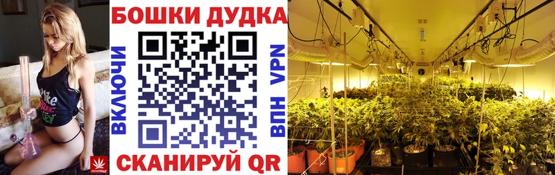 Бошки Шишки семена Купить где Михайловск